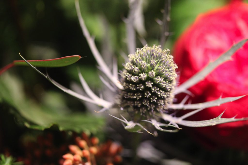 Flowers お花のある暮らし