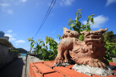 慶良間～阿嘉島旅行3