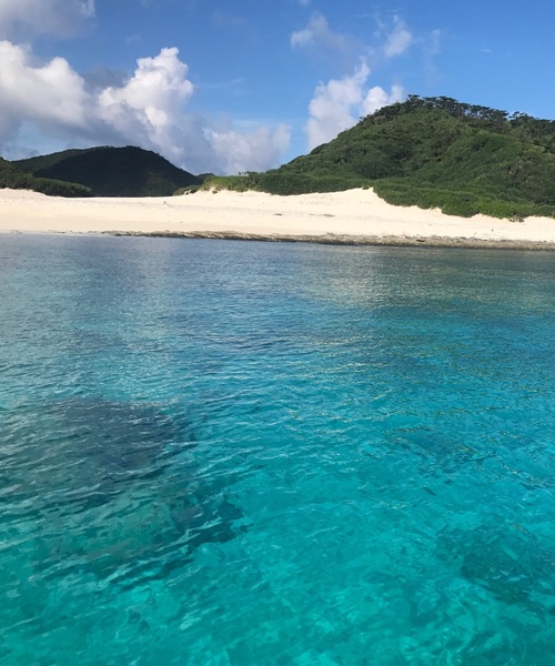 慶良間諸島 沖縄 旅行